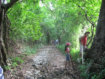 Camino Real