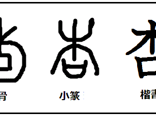 √画像をダウンロード 杏 読み方 き 140437