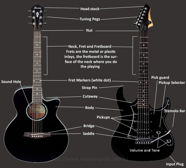 acoustic guitar parts. tutorial ,how to ,guitar