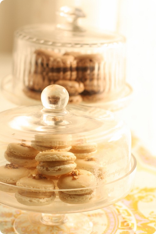 macarons-1