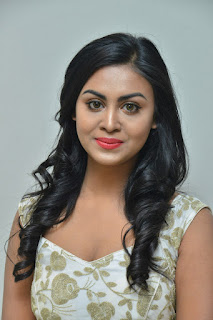 Meghla Mukta at Sakalakala Vallabhudu Movie Press Meet