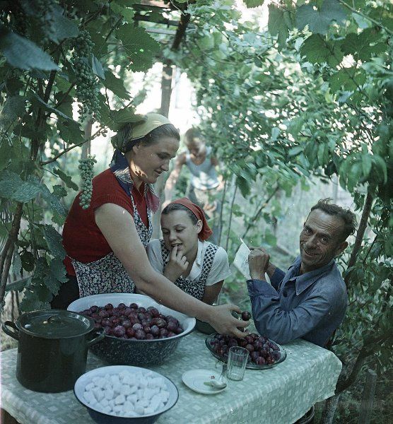 Photo by Vsevolod Tarasevich (Всеволод Сергеевич Тарасевич; 1950s)