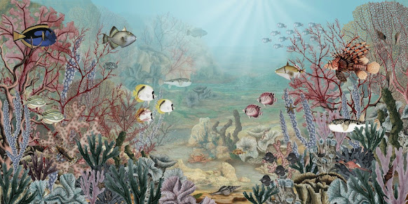 Underwater Corel reef wallpaper for walls
