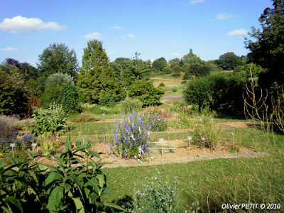 VILLERS-LES-NANCY (54) : Le jardin botanique du Montet