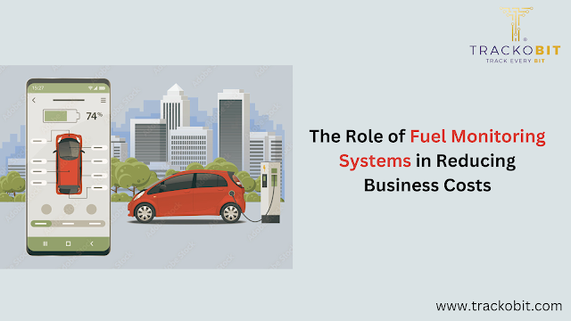 fuel monitoring systems