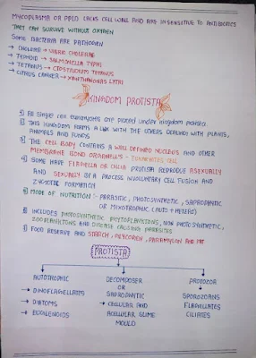 Biological Classification Notes