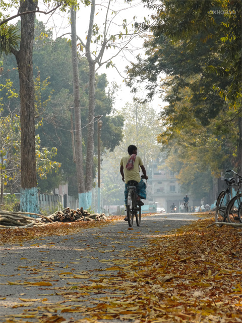 A Man Riding A Bicycle