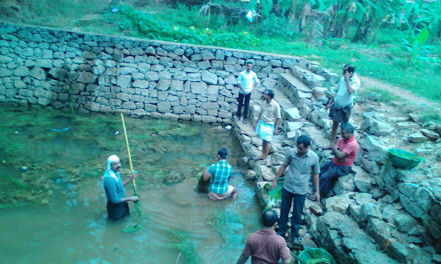 Pool Cleaning by CPIM Kizhakkoth Committee at Pannur