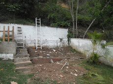 Transformación Espectacular de un Patio de Casa