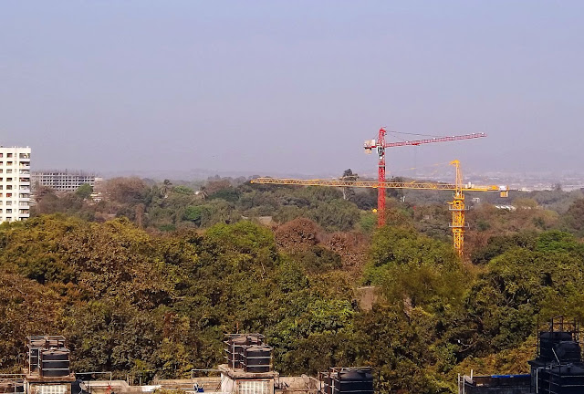 construction in green belt