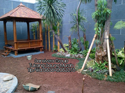 Proses Pengerjaan Taman