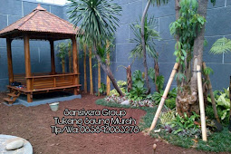 Tukang Taman Pondok Indah