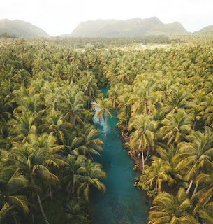 Maasin River Siargao