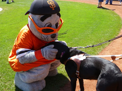 Giant's mascot Lou Seal makes friends with black Lab Niño