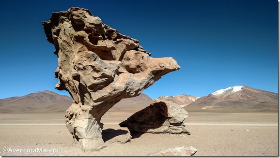 Arbol de Piedra Arbol de Piedra