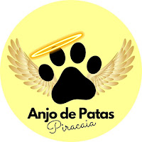 Logo Anjos de Patas Piracaia