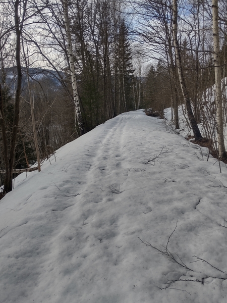 hvit gjeterhund sperillbanen ådalen istapper