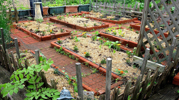 Early Spring Planting Vegetables