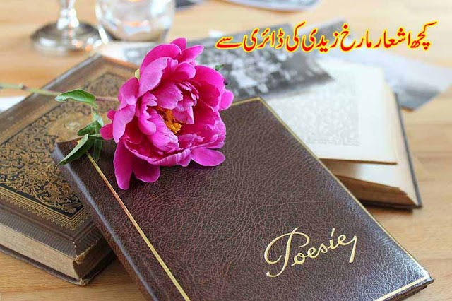 mahrukh zaidi urdu poetry