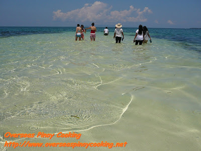 Virgin Island Sandbar