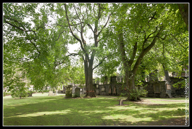  Cementerio Greyfriars  Edimburgo (Escocia)