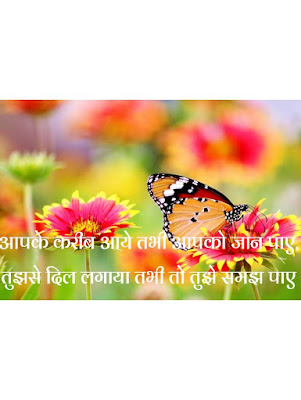 Love shayari, Love shayari images.