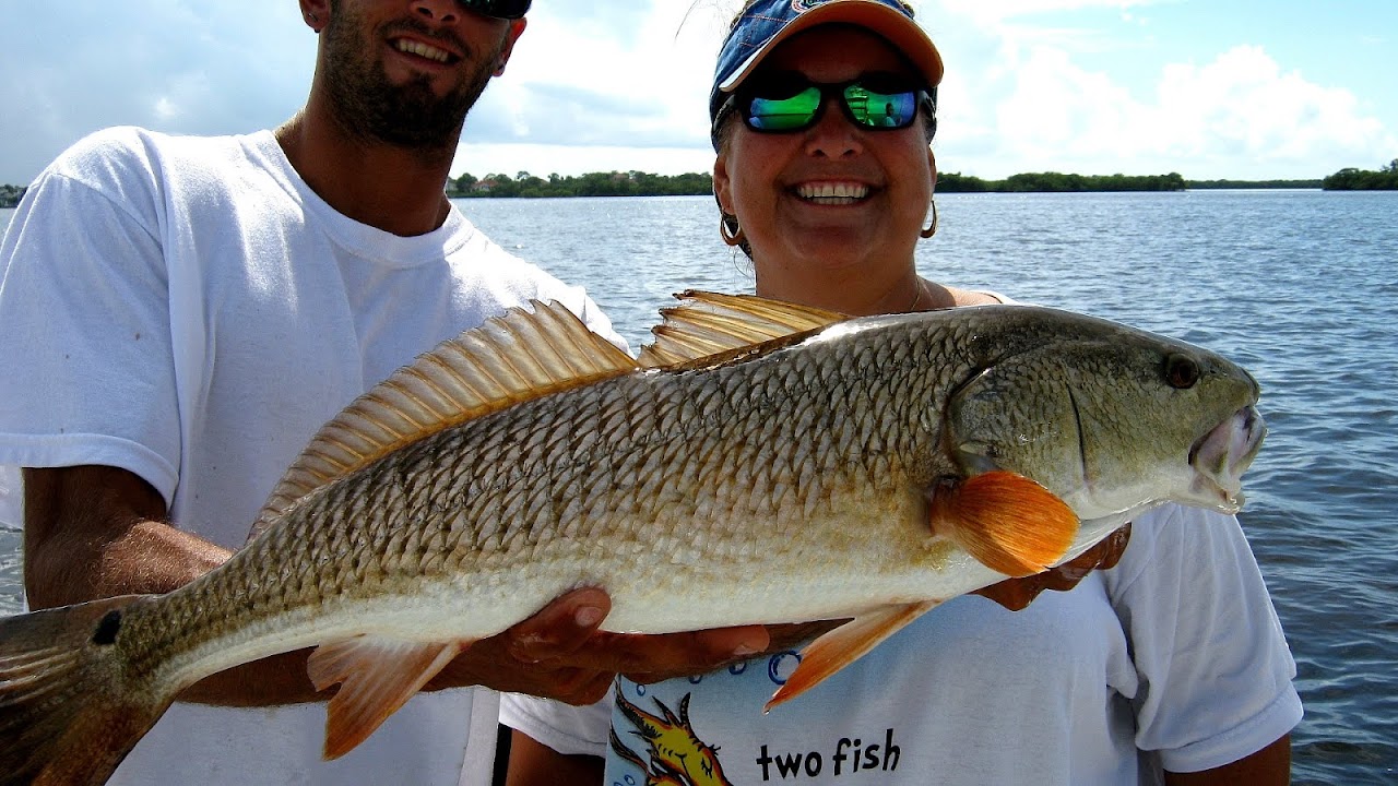 Snook Fishing Season Florida