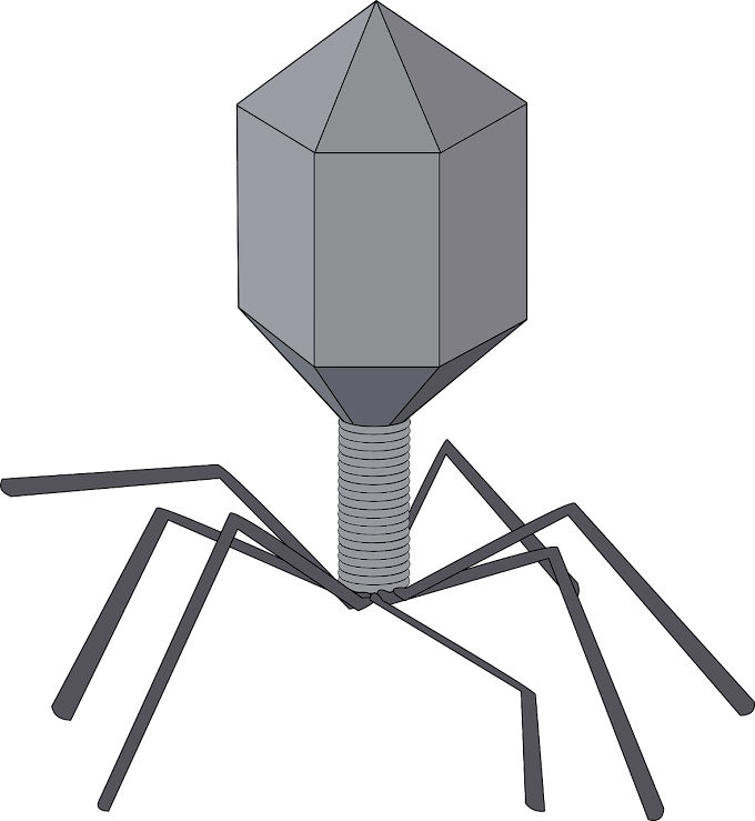 Unit 2: Virus Nomenclature and Classification of Viruses 