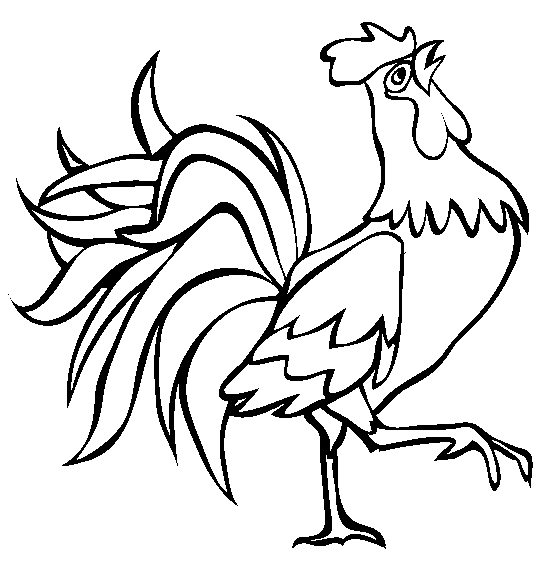 Rooster Farm Animal Coloring Pages For Kids