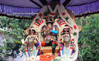 Thiruvallikeni,Triplicane,  Sri Theliya Singa Perumal, Sri Yoga Narasimha Perumal,Venkata Krishna , 2017, Video, Divya Prabhandam,Utsavam,Dhavana Utsavam,Murali Kannan