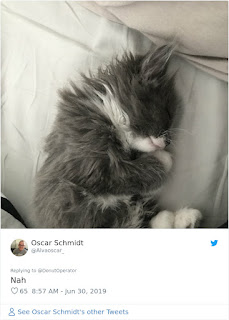 Este hombre provocó una batalla entre otros dueños de gatos después de decir que su gato era más lindo que el de cualquier otra persona