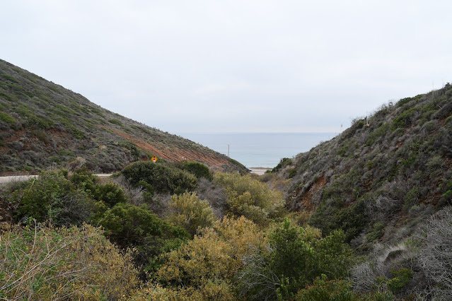 Pacific Coast Highway (1)