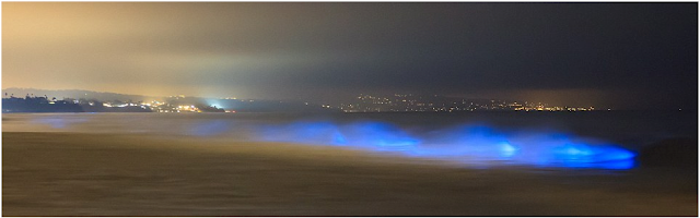 Cahaya Biru Yang Menakjubkan Dipantai California