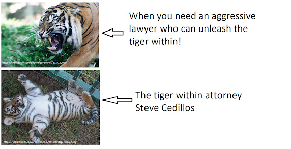 Photo of tiger in aggressive stance: caption :when you need an aggressive lawyer who can unleash the tiger within!   Photo of Baby Tiger in passive stance:  caption: The Tiger within Steve Cedillos