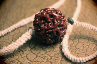 Rudraksha-रुद्राक्ष-símbolos-hindúes-y-su-significado.jpg