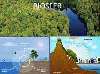  Apa itu Biosfer Dan Contoh Penjelasannya Pengertian Biosfer: Apa itu Biosfer Dan Contoh Penjelasannya