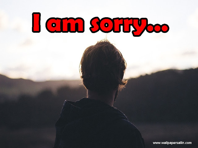 i am sorry wallpapers