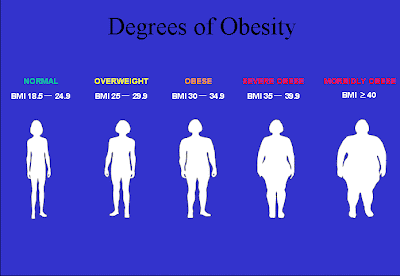 Bmi Obesity Scale