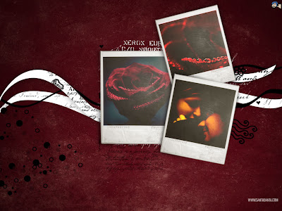 Nice Love Wallpapers For Desktop. love quotes wallpaper desktop;