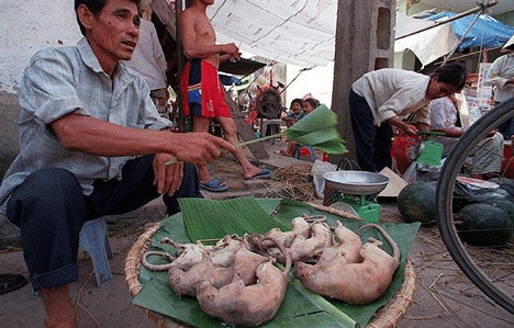 Cahaya Lentera: Top Ten Makanan Terekstrim Sedunia