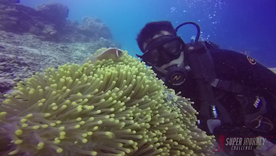 scuba diving di bunaken