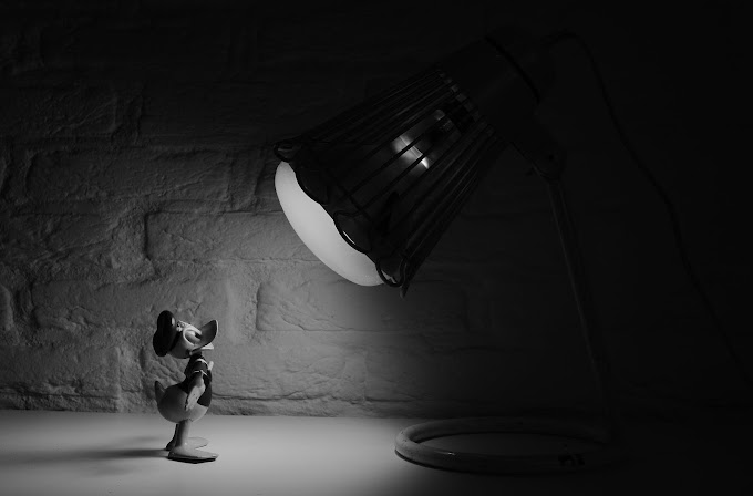 Donald Duck in Front of Lamp