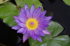 IMGP6096