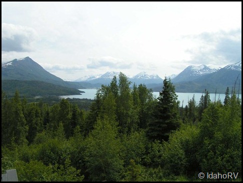View-1