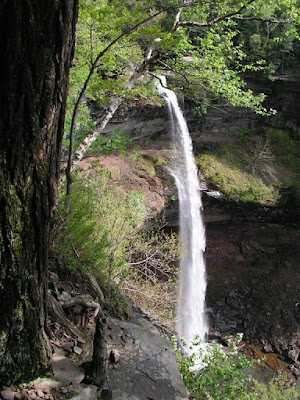 Erosion and other physical evidence of the Genesis Flood baffles secular geologists. Creation science Flood geology models explain what is observed.