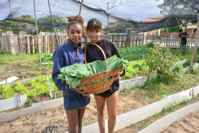 Escola da Vila do Sol transforma horta comunitária em Laboratório Digital de Botânica