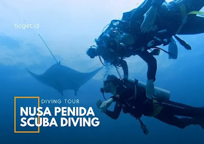 diving-to-nusa-penida-from-nusa-dua-by-private-boat-charter