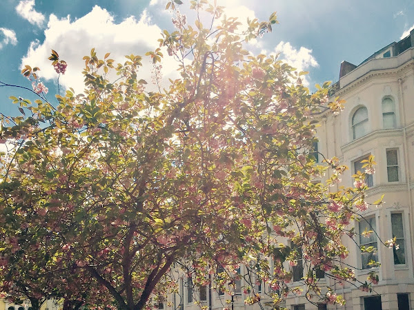 Springtime | London 