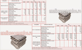 Indicatori financiari - presa scrisă din România