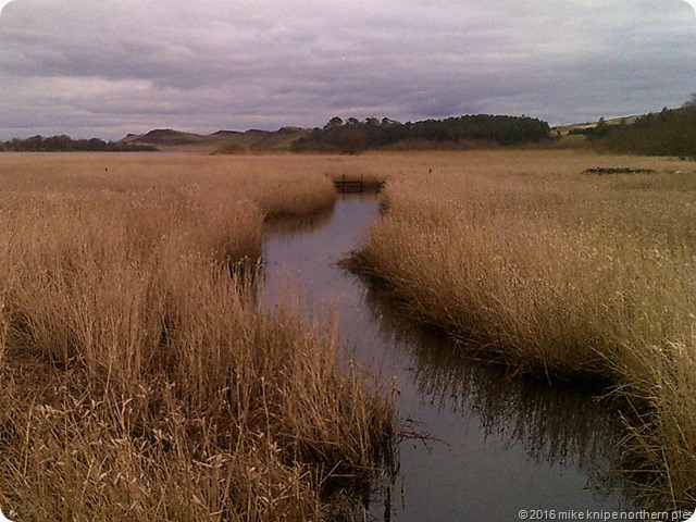 hadrians wall 012